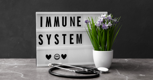 How Supplements Can Support Your Immune System During Intense Training